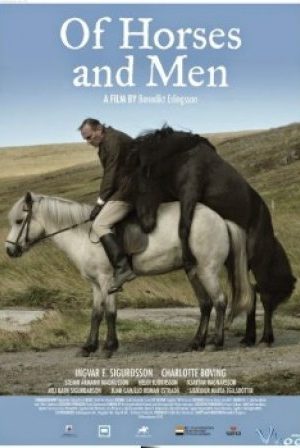 Chuyện Ngựa Và Người – Of Horses And Men
