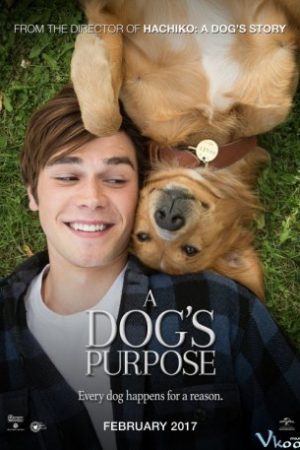 Mục Đích Sống Của Một Chú Chó - A Dog’s Purpose