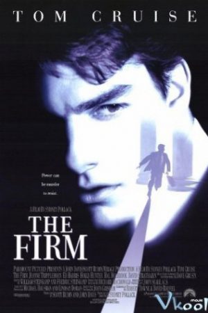 Công Ty - The Firm
