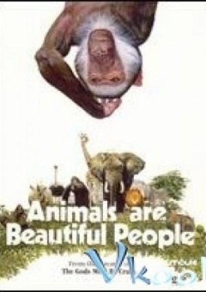 Thế Giới Loài Vật Sống Động – Animals Are Beautiful People