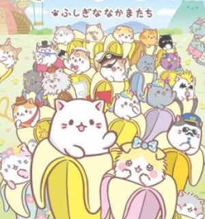 Những Bé Mèo Lai Chuối – Bananya
