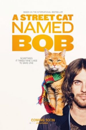 Chú Mèo Đường Phố Tên Bob - A Street Cat Named Bob