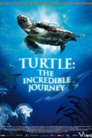 Hành Trình Vĩ Đại Của Loài Rùa – Turtle: The Incredible Journey