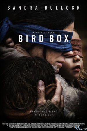 Lồng Chim - Bird Box