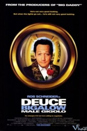 Trai Gọi 1 - Deuce Bigalow: Male Gigolo