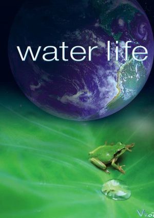 Nước Của Cuộc Sống – Water Life