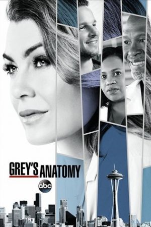 Ca Phẫu Thuật Của Grey 14 – Grey’s Anatomy Season 14