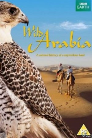 Miền Hoang Dã Phần 1 – Wild Arabia Season 1