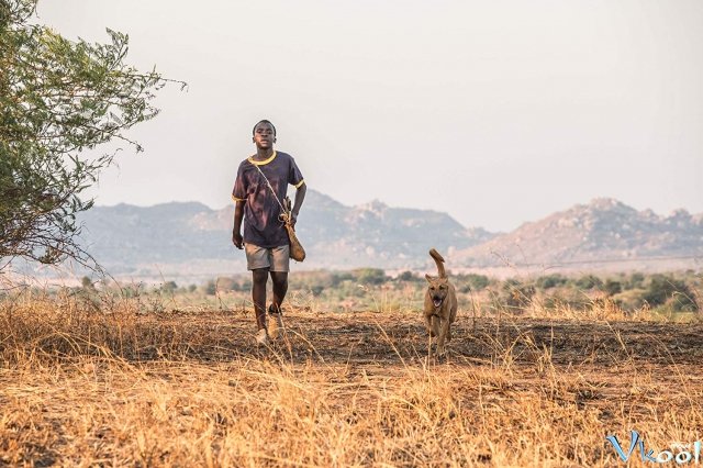Xem Phim Cậu Bé Khai Thác Gió - The Boy Who Harnessed The Wind - Vkool.TV - Ảnh 4