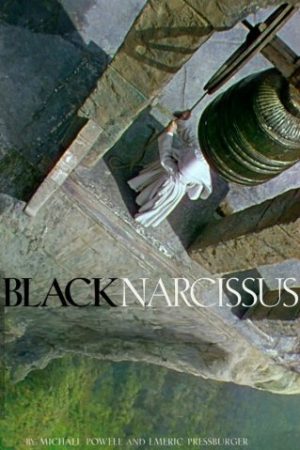 Thuỷ Tiên Đen – Black Narcissus