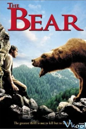 Con Gấu - The Bear