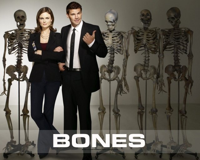 Xem Phim Hài Cốt Phần 1 - Bones Season 1 - Vkool.TV - Ảnh 1