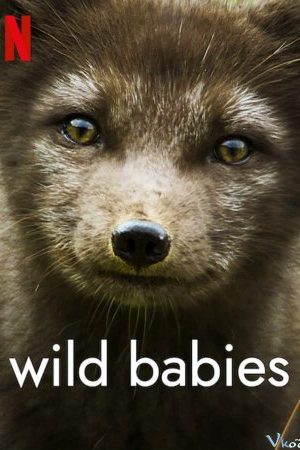 Động Vật Chào Đời - Wild Babies