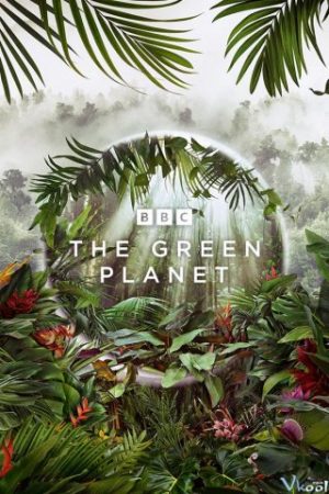 Hành Tinh Xanh 1 - The Green Planet Season 1