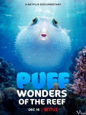 Puff: Rạn San Hô Kỳ Diệu - Puff: Wonders Of The Reef