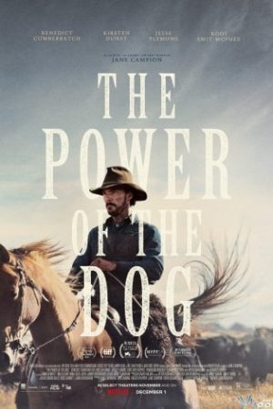Chủ Trang Trại – The Power Of The Dog