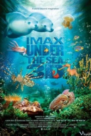 Imax: Under The Sea - Imax: Under The Sea
