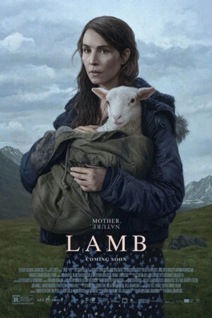 Cừu - Lamb
