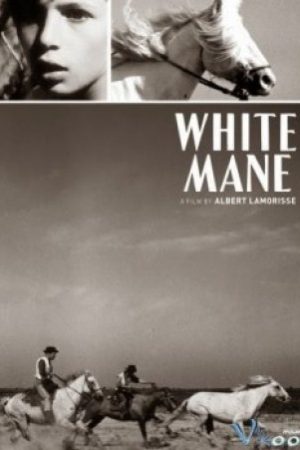 Bờm Trắng (chú Ngựa Hoang) - White Mane