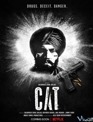 Cat – Cat