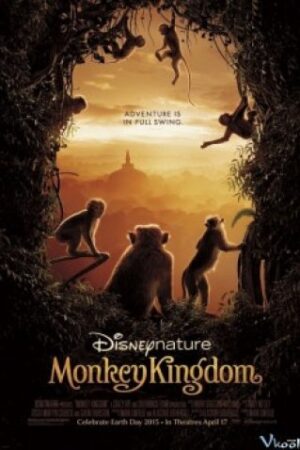 Vương Quốc Loài Khỉ - Monkey Kingdom