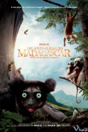 Đảo Vượn Cáo - Island Of Lemurs: Madagascar