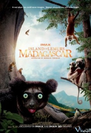 Đảo Vượn Cáo – Island Of Lemurs: Madagascar