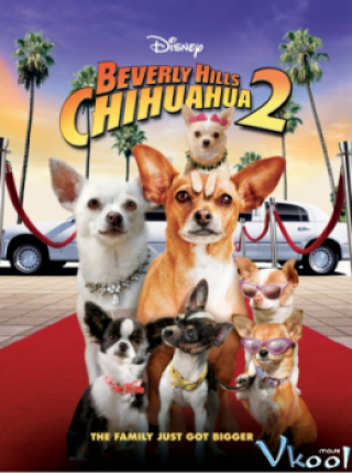 Beverly Hills Chi Hua Hua 2 – Beverly Hills Chihuahua 2