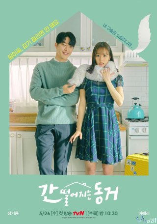 Bạn Cùng Phòng Của Tôi Là Hồ Ly – My Roommate Is A Gumiho