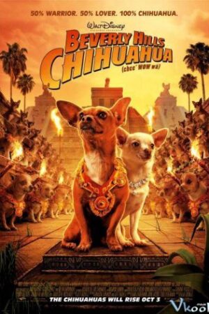 Những Chú Chó Chihuahua Ở Đồi Beverly - Beverly Hills Chihuahua