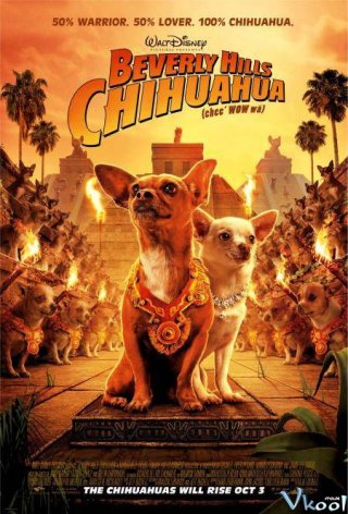 Những Chú Chó Chihuahua Ở Đồi Beverly – Beverly Hills Chihuahua