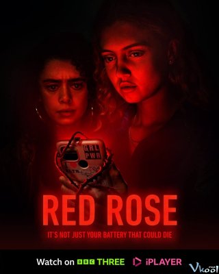 Hoa Hồng Đỏ – Red Rose