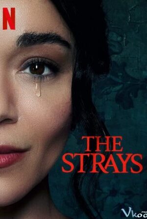 Kẻ Lạc Đường - The Strays