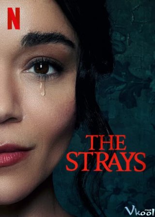 Kẻ Lạc Đường – The Strays