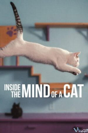 Những Chú Mèo Nghĩ Gì - Inside The Mind Of A Cat