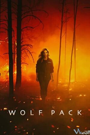 Bầy Sói – Wolf Pack