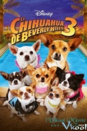 Những Chú Chó Chihuahua Ở Đồi Beverly 3 - Beverly Hills Chihuahua 3: Viva La Fiesta!