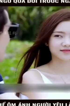 Tình Chia Xa
