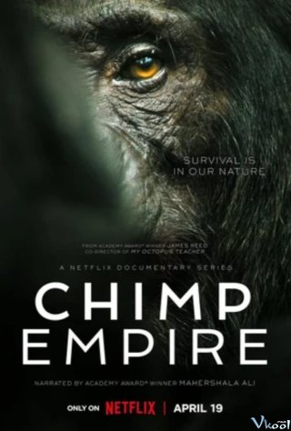 Đế Chế Tinh Tinh - Chimp Empire
