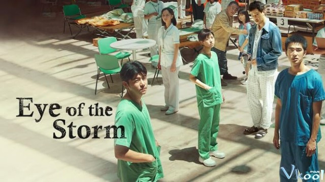 Xem Phim Tâm Dịch - Eye Of The Storm - Vkool.TV - Ảnh 1