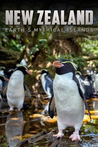 New Zealand Hoang Dã – Bbc New Zealand Earth’s Mythical Islands